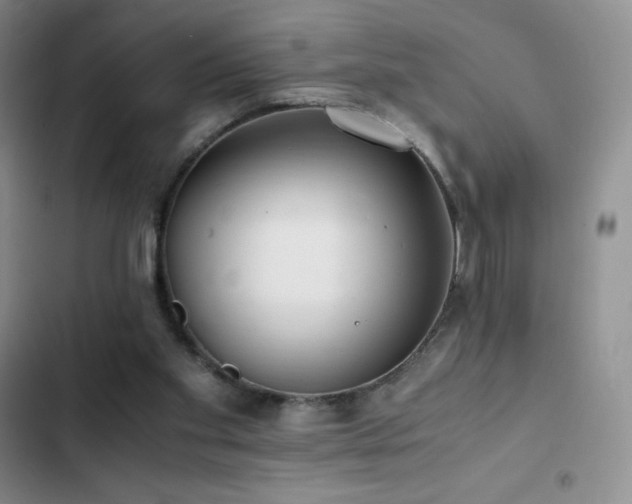 X0000102840109200808181357