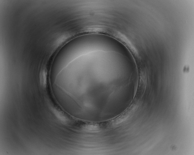 X0000102840110200808181357