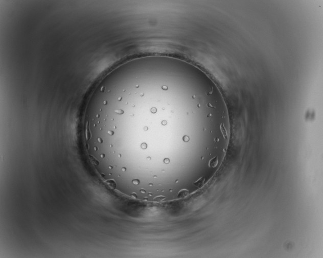 X0000102840111200808181357