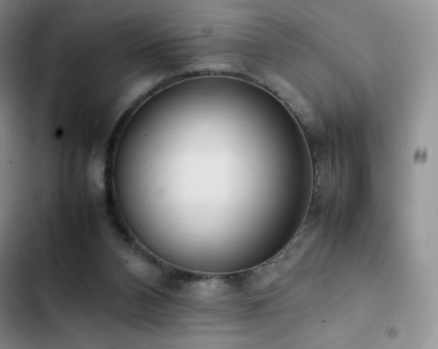 X0000102840112200808181357