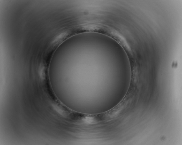 X0000102840114200808181357