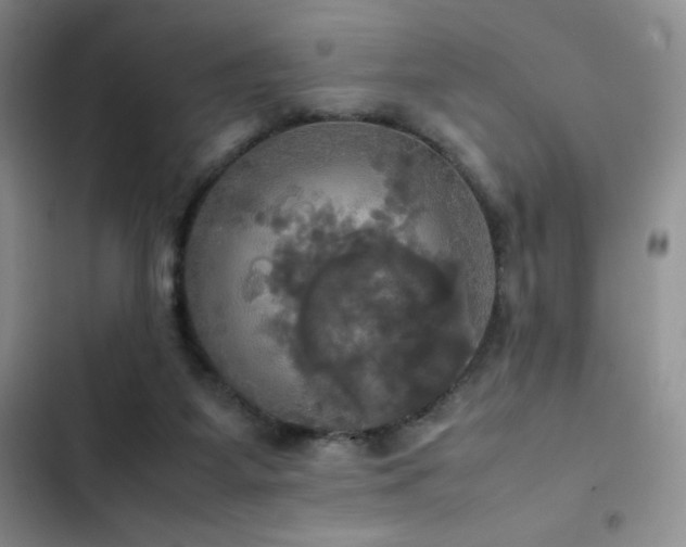 X0000102840115200808181357