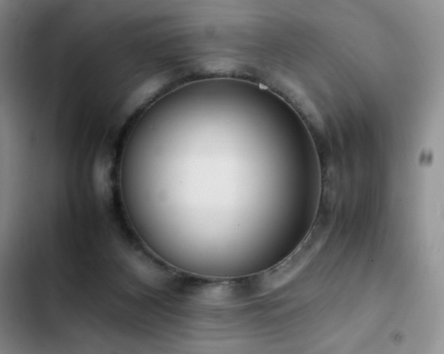 X0000102840116200808181357