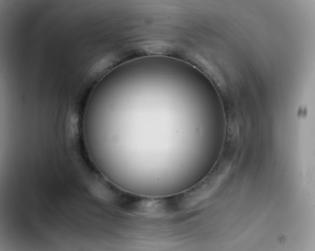 X0000102840117200808181357