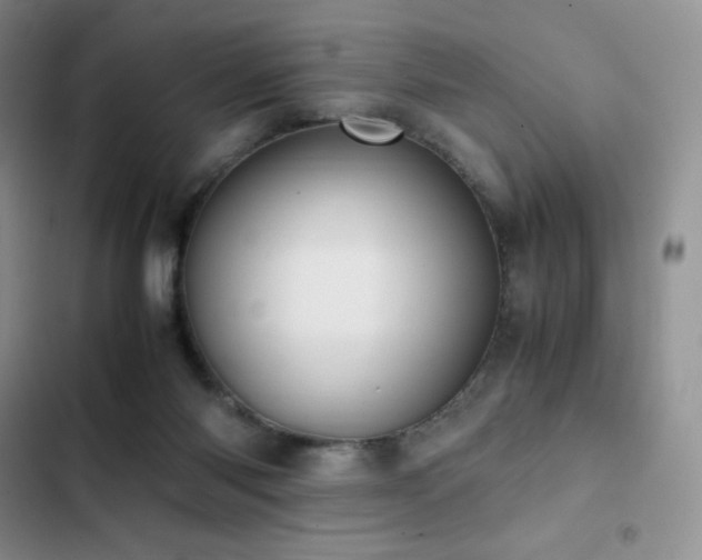 X0000102840118200808181357