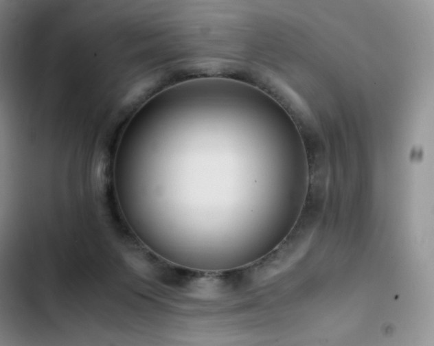 X0000102840119200808181357