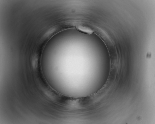 X0000102840120200808181357