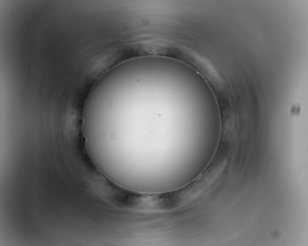 X0000102840121200808181357