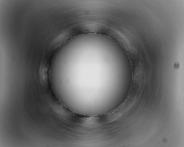 X0000102840122200808181357