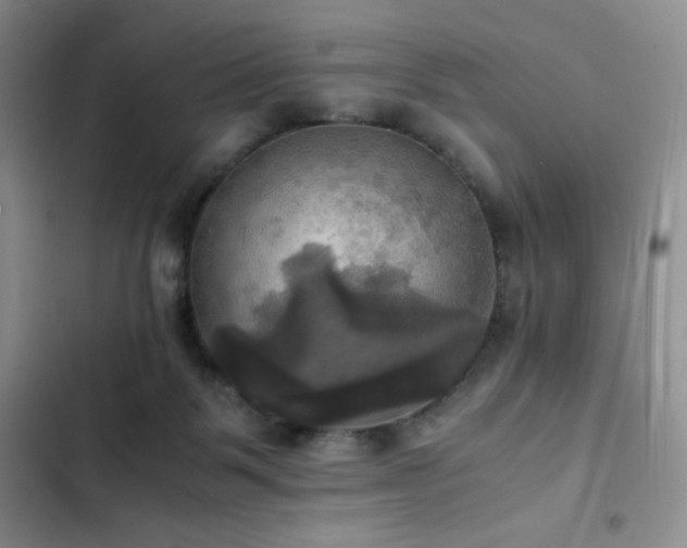 X0000102840123200808181357