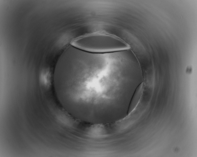 X0000102840124200808181357