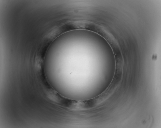 X0000102840125200808181357