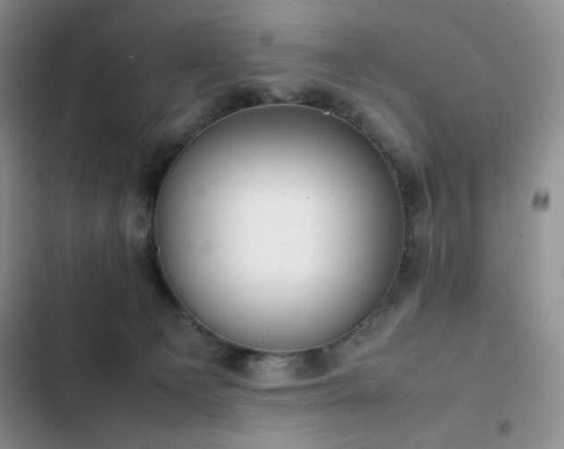 X0000102840129200808181357