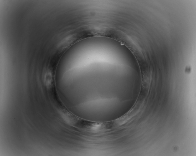 X0000102840130200808181357