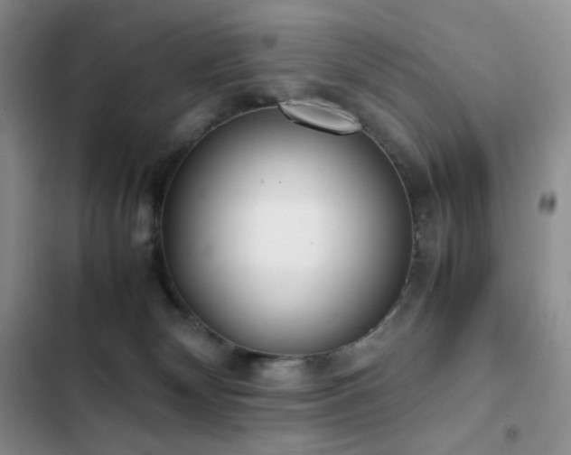 X0000102840132200808181357