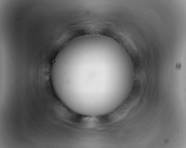 X0000102840133200808181357