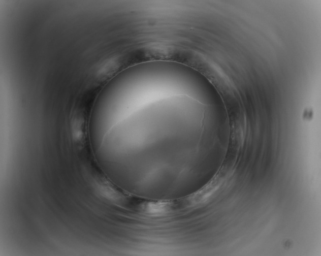 X0000102840134200808181357