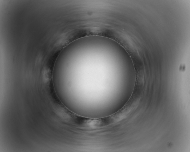 X0000102840135200808181357