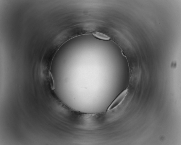 X0000102840136200808181357