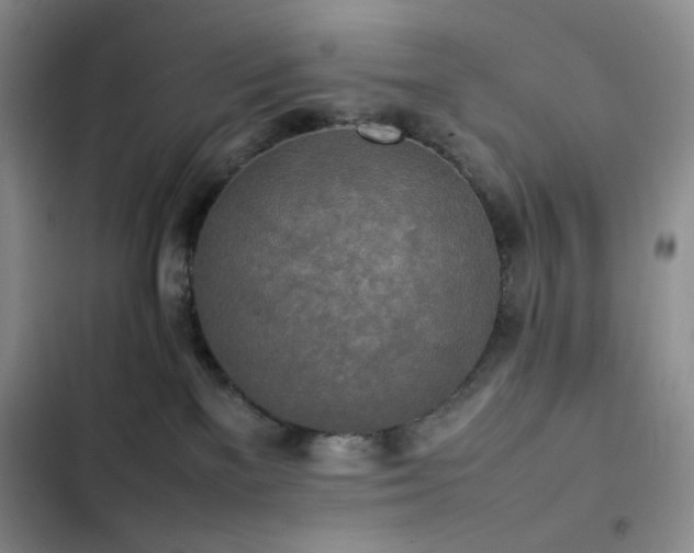 X0000102840137200808181357