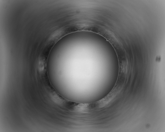 X0000102840138200808181357