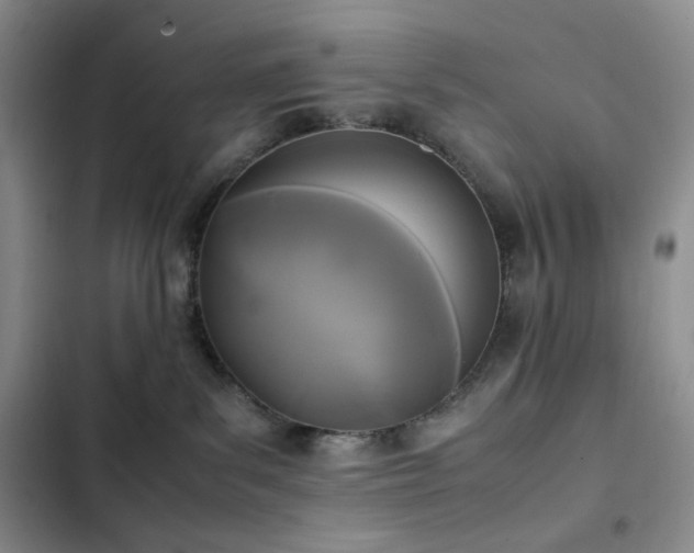 X0000102840139200808181357