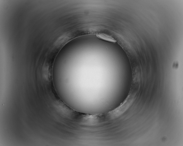 X0000102840140200808181357