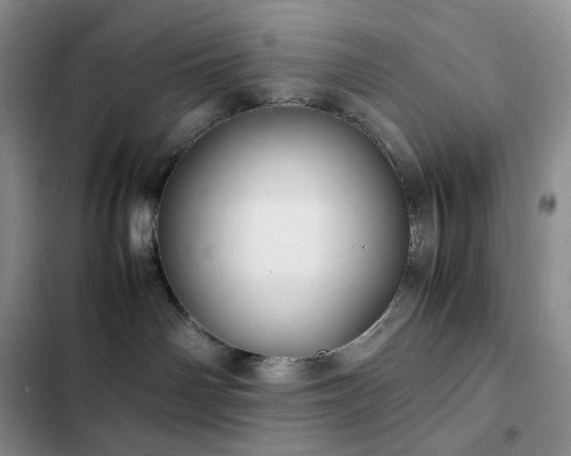 X0000102840142200808181357