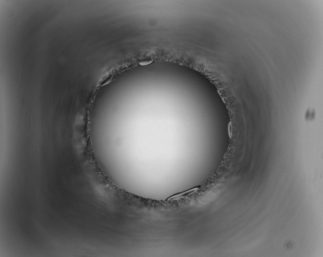 X0000102840144200808181357