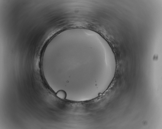 X0000102840146200808181356