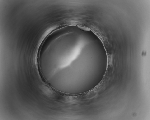 X0000102840147200808181356