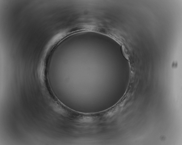 X0000102840149200808181356