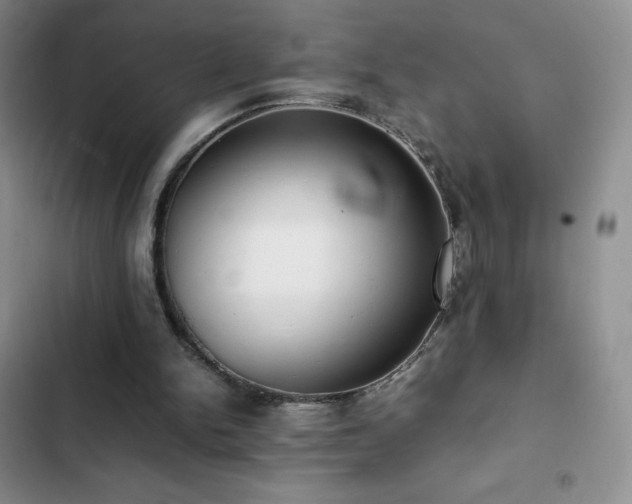 X0000102840150200808181356