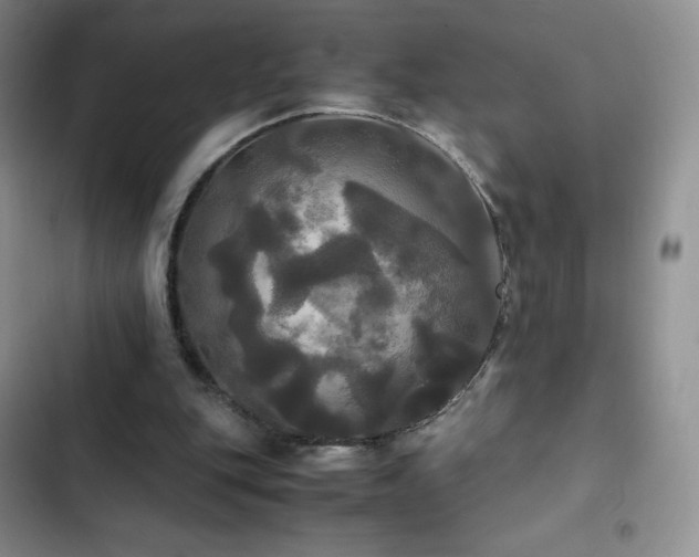 X0000102840151200808181356