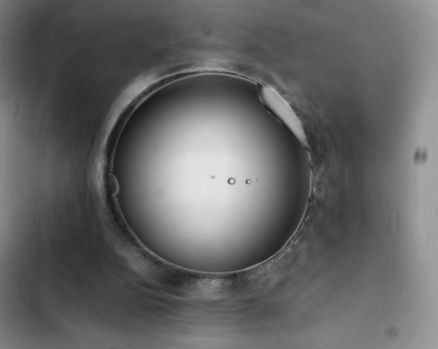 X0000102840152200808181356