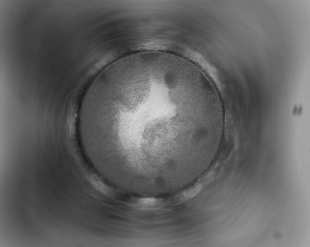 X0000102840153200808181356