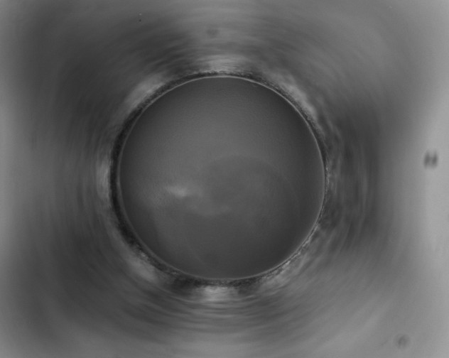 X0000102840154200808181356