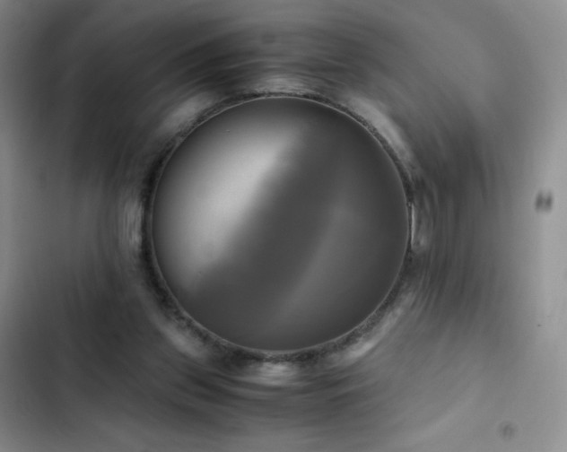 X0000102840157200808181356