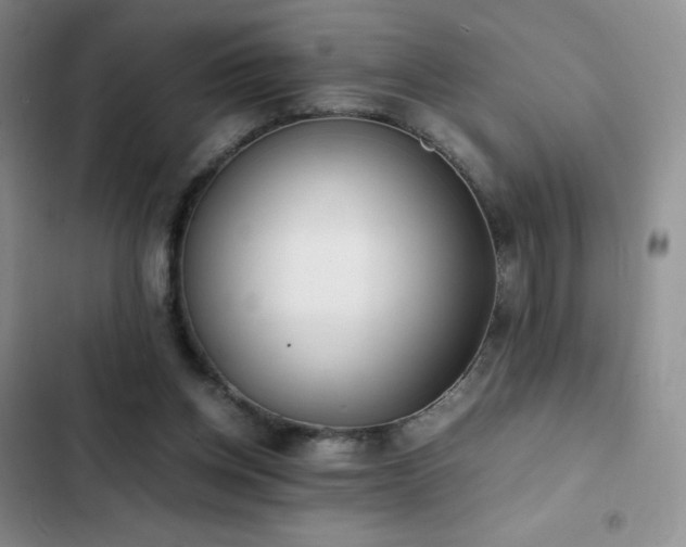 X0000102840158200808181356