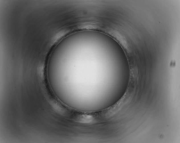 X0000102840159200808181356