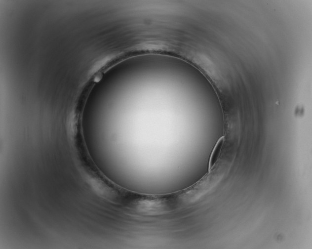 X0000102840160200808181356