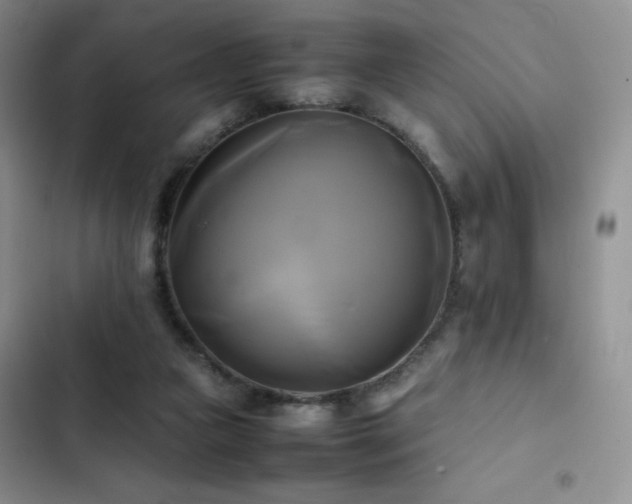 X0000102840161200808181356