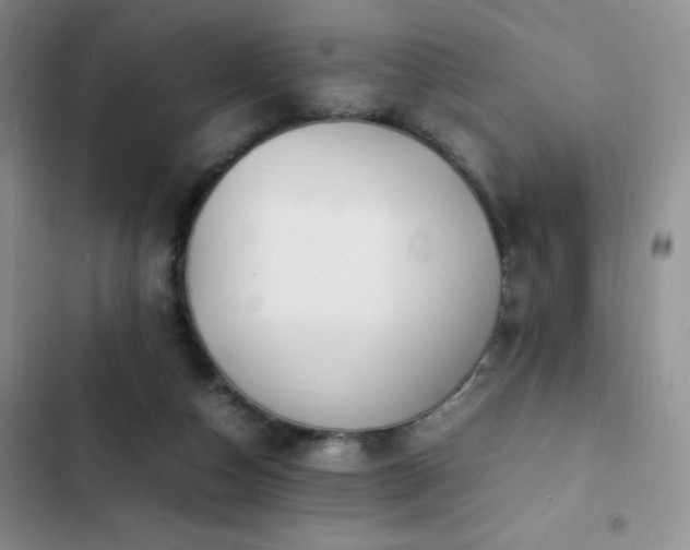 X0000102840162200808181356