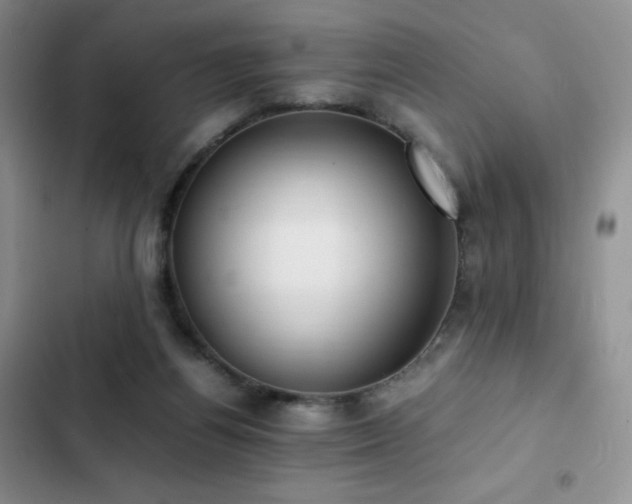 X0000102840164200808181356