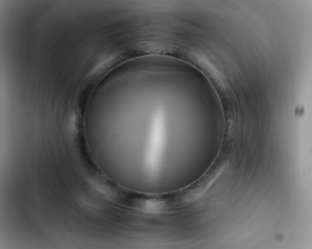 X0000102840165200808181356