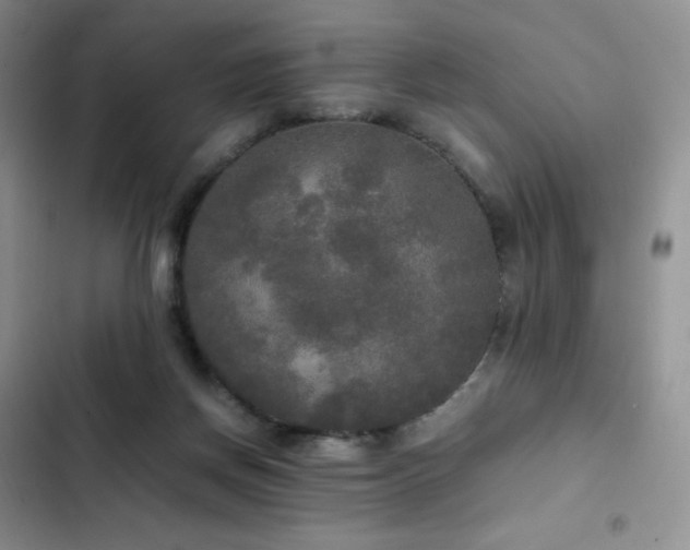 X0000102840166200808181356