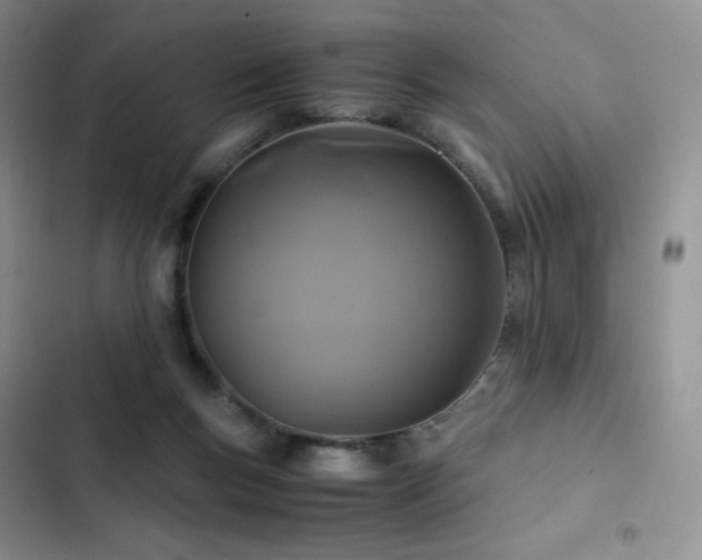 X0000102840167200808181356