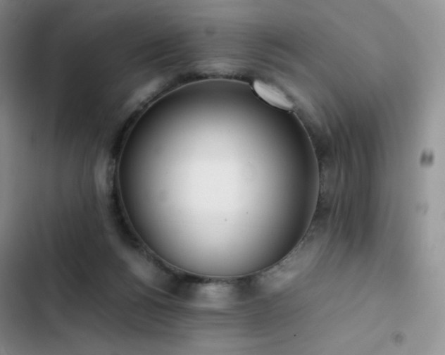 X0000102840168200808181356