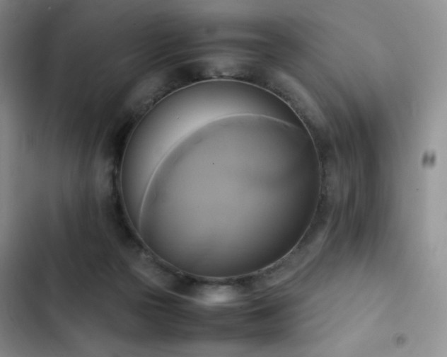 X0000102840169200808181356