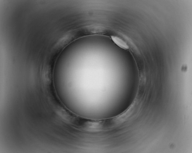 X0000102840170200808181356